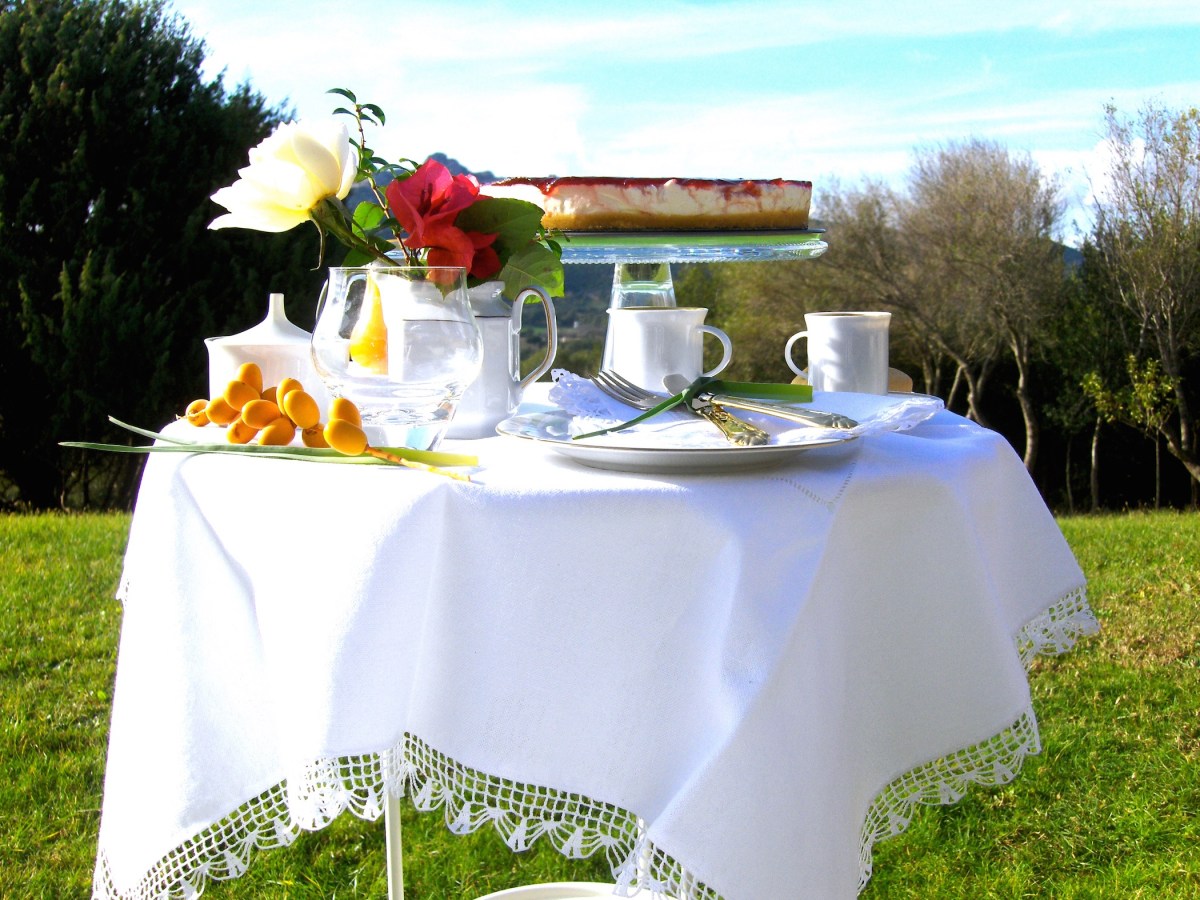 porto cervo, baja sardinia, giardino, garden, verde, prato, erba, grass, tramonto, tramonti, rocce, roccia, alberi, albero, tree, trees, piante, pianta, luci, light, luce, lights, fiori, fiore, flower, flowers, ulivi, rose, sedie, chair, chairs, sedia, tavolo, tavoli, table, tables, costa smeralda, arzachena, sunset, sunsets, siepi, bush, vista, view, sea view, appartamenti, appartamento, apartments, apartment, la dimora di amaranta, dimora ambra, dimora acquamarina, dimora ametista, colazione, colazioni, breakfast, coffee, caffè, biscotti, biscotto, biscuit, biscuits, tiramisù, cheesecake, juice, orange juice, water, the, marmalade, marmellata, nutella, bread, pane, acqua, succo, succo di frutta, fette biscottate, veranda, mela, mela, apple, arancio, arancia, mandarino, pesca, peach, pesche, fragole, strawberry, pera, pere, fragola